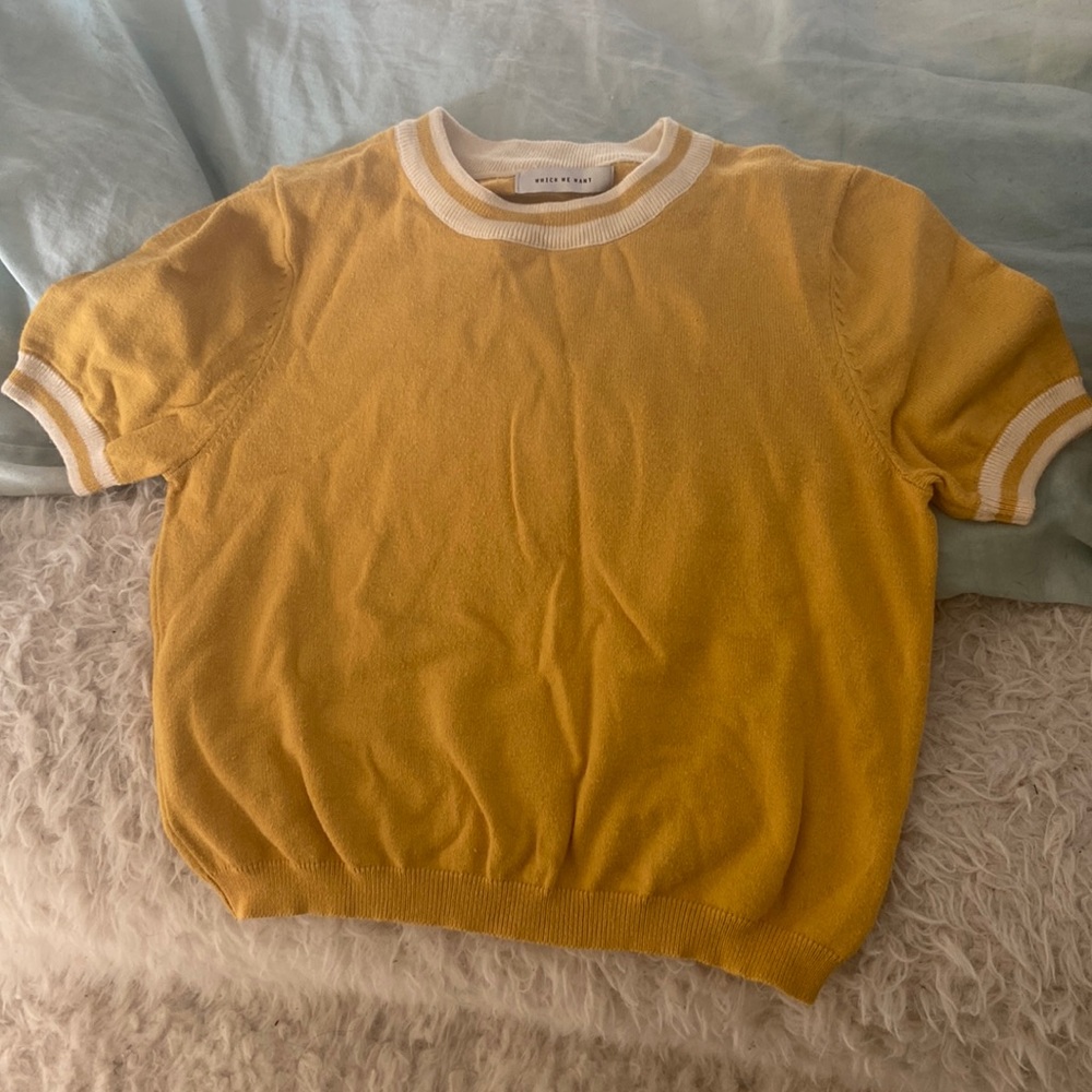 Which We Want crop top/baby tee